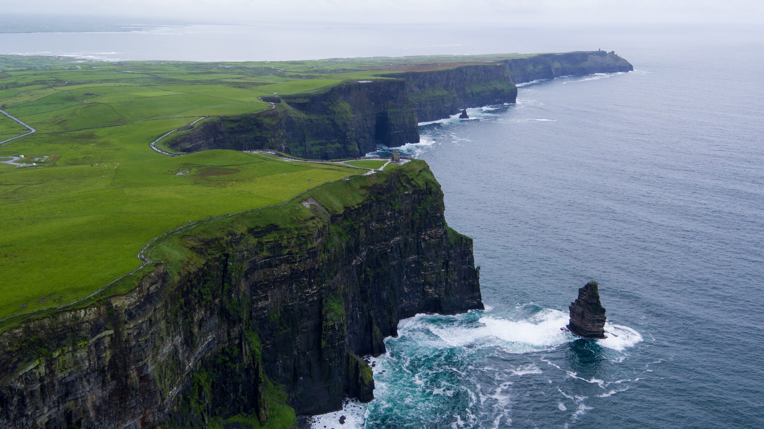 EXPERT IN IRELAND IIP VISA