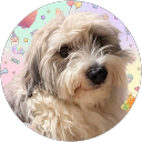 Kelsey G. profile picture